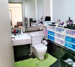 Flamingo Valley (D15), Condominium #457427171